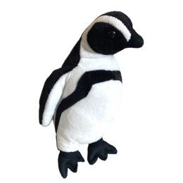 Beppe Maskotka Pingwin Humboldta 18 cm